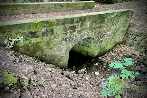 Biddulph Grange Country Park image