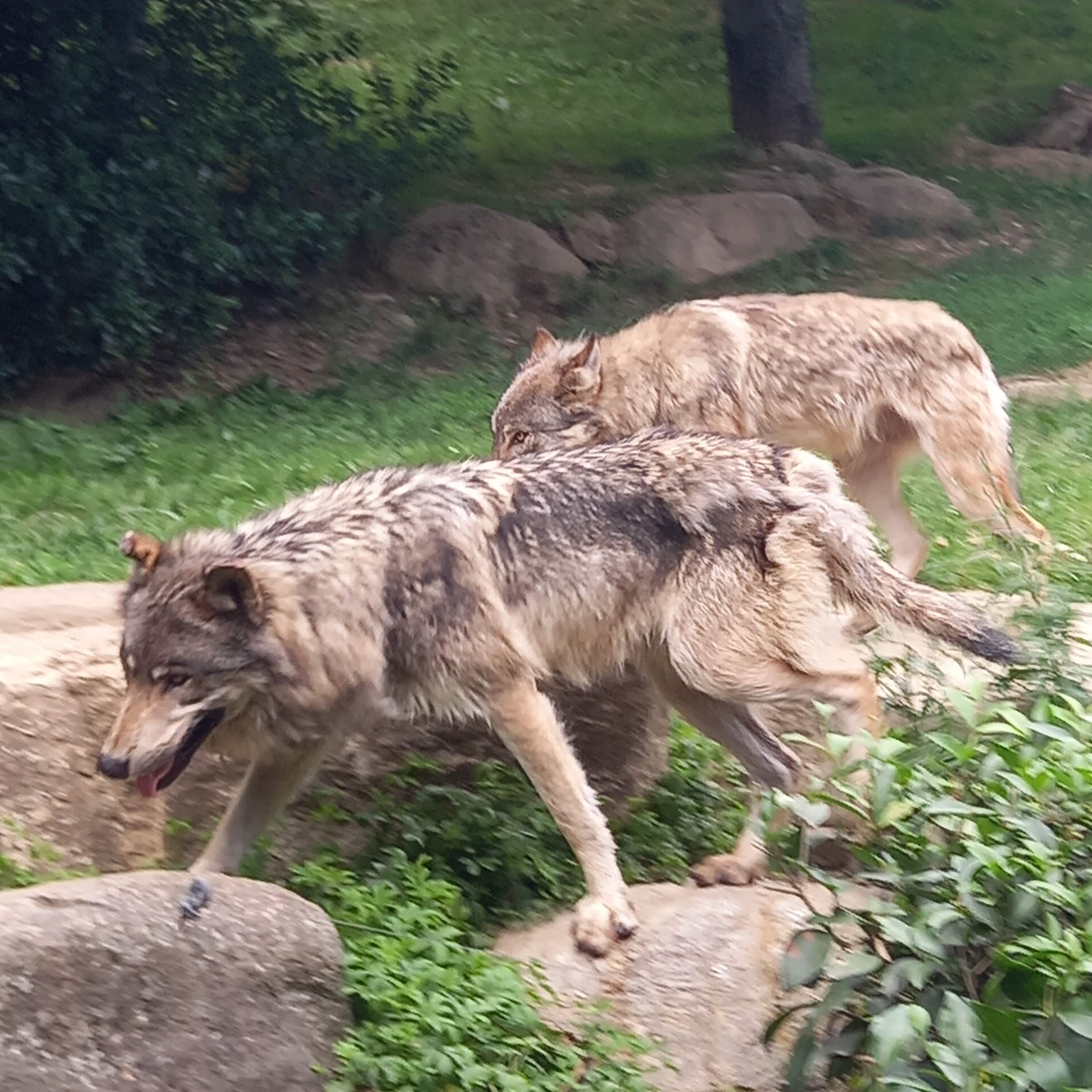 Photo n° 21 de l'avis de Imelda.i fait le 24/08/2019 à 20:04