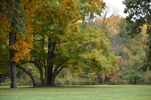 Golf Course «Black Brook Golf Course & Practice Center», reviews and photos, 8900 Lakeshore Blvd, Mentor, OH 44060, USA