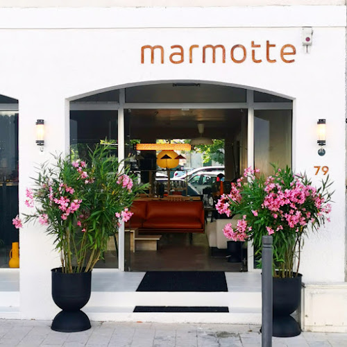 Marmotte - Mobilier & Objets design à Saint-Pierre-d'Oléron