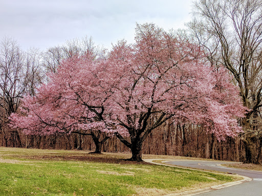 National Park «Fort Washington Park», reviews and photos, 13551 Fort Washington Rd, Fort Washington, MD 20744, USA