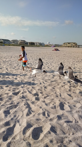 Department Store «Walmart Supercenter», reviews and photos, 5226 Sigmon Rd, Wilmington, NC 28403, USA