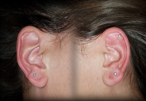 Tattoo Shop «Tit 4 Tat Tattoo Studio Inc.», reviews and photos, 45571 Mound Rd, Shelby Charter Township, MI 48317, USA