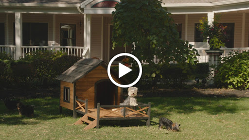 Roofing Contractor «Perfect Exteriors», reviews and photos