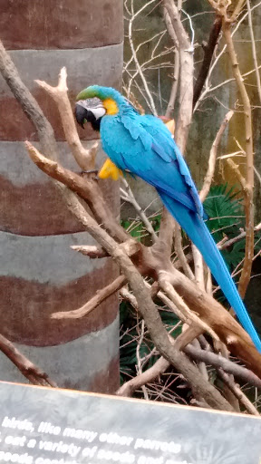 Zoo «Desert Dome & Kingdoms of the Night», reviews and photos, 3701 S 10th St, Omaha, NE 68108, USA