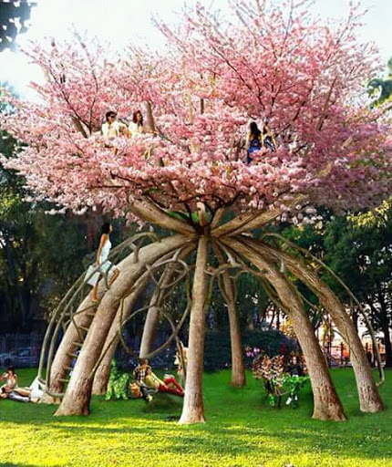 Park «Waterfront Park», reviews and photos, 1401 Alaskan Way, Seattle, WA 98101, USA