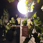 Photo n°1 de l'avis de Alberto.a fait le 29/08/2021 à 20:44 sur le  Ristorante Masseria Cotugno à Torricella