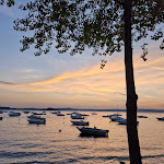 Photo n°2 de l'avis de Matteo. fait le 20/08/2022 à 06:06 sur le  Ristorante Trattoria Da Morano à Montefiascone