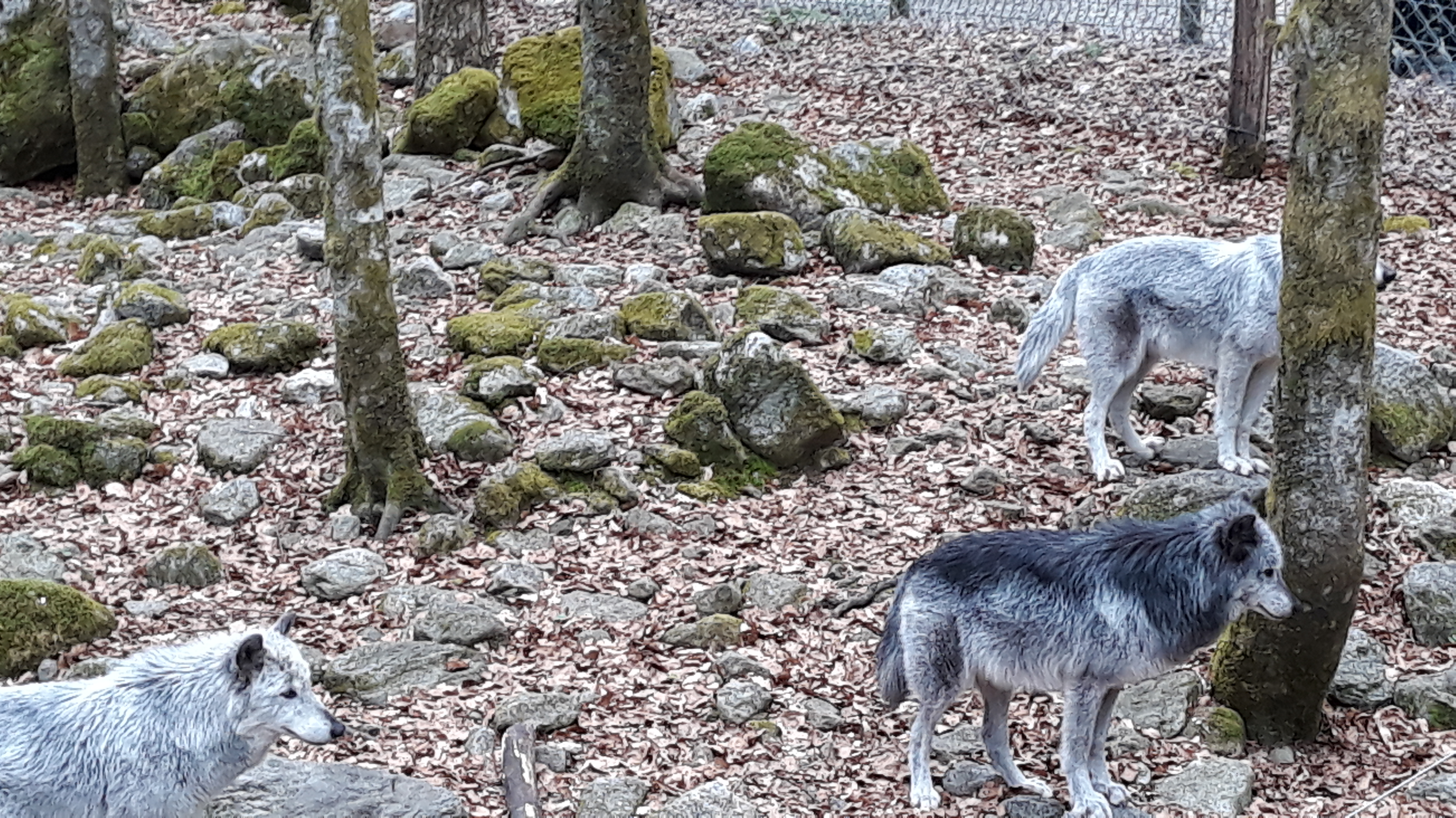 Photo n° 8 de l'avis de Anne.a fait le 24/04/2019 à 15:11