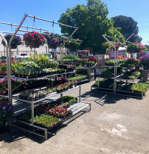 Hardware Store «Antioch Ace Hardware», reviews and photos, 501 Sunset Dr, Antioch, CA 94509, USA