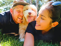 Encinitas Pet Sitting - Photo 2 - Car repair in Encinitas, CA, Oceanside