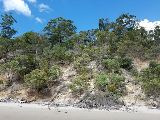 Travel Agency «About Australia», reviews and photos, 226 W Rector #1, San Antonio, TX 78216, USA