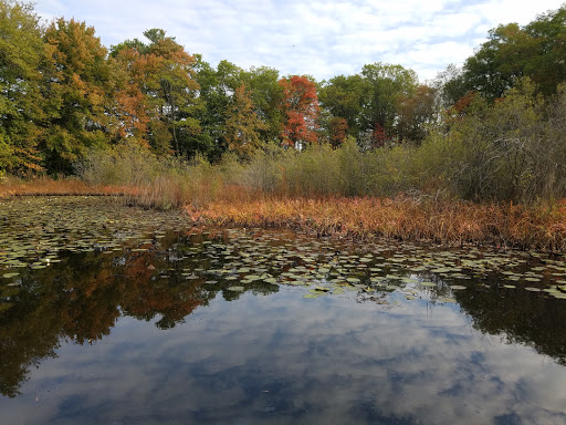 Nature Preserve «The Nature Trail and Cranberry Bog», reviews and photos, 252 Patriot Pl, Foxborough, MA 02035, USA