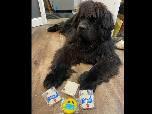 Pet Supply Store «Pet Barn», reviews and photos, 8191 Maple Lawn Blvd, Fulton, MD 20759, USA