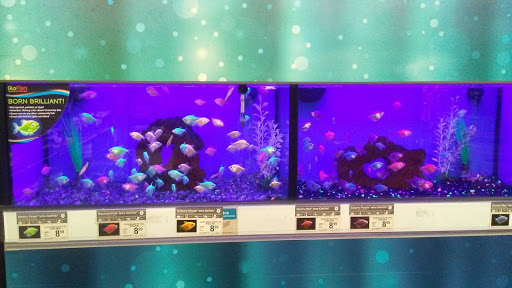 Pet Supply Store «Petco Animal Supplies», reviews and photos, 17200 Southcenter Pkwy #100, Tukwila, WA 98188, USA