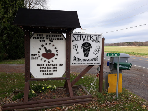 Winery «Savage Winery», reviews and photos, 11300 Savage Rd, Chaffee, NY 14030, USA