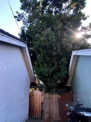 Day Care Center «Marias Daycare», reviews and photos, 5819 Robinhood Dr, El Sobrante, CA 94803, USA