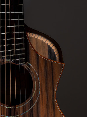 Quintric Guitares Luthier à Hanvec