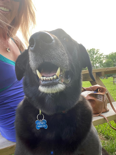 Winery «Mallow Run Winery», reviews and photos, 6964 W Whiteland Rd, Bargersville, IN 46106, USA