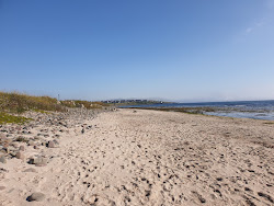 Keiss Beach'in fotoğrafı vahşi alan