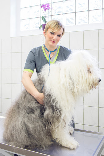Tierarztpraxis Dr. Jessica Sieg -Fachtierärztin für Kleintiere unter Wermelskirchen, 