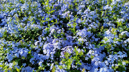 Commercial Printer «Quad Graphics», reviews and photos, 7190 Jurupa Ave, Riverside, CA 92504, USA