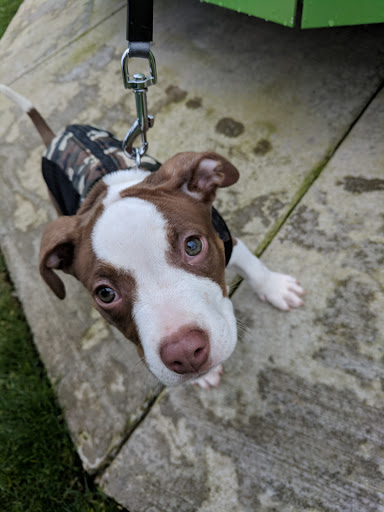 Park «Crossroads Water Spray Playground», reviews and photos, 999 165th Ave NE, Bellevue, WA 98008, USA