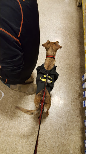Pet Supply Store «PetSmart», reviews and photos, 1700 Fruitville Pike, Lancaster, PA 17601, USA