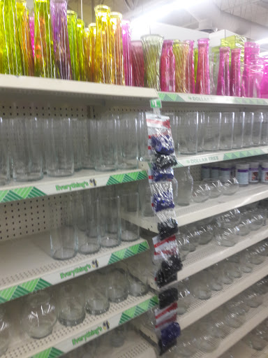 Dollar Store «Dollar Tree», reviews and photos, 1243 E Higgins Rd, Schaumburg, IL 60173, USA