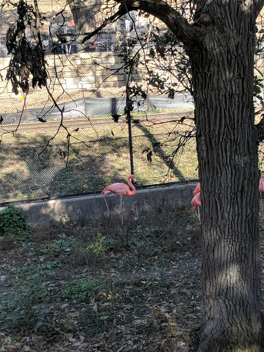 Foundation «The Henry Doorly Zoo», reviews and photos, 3701 S 10th St, Omaha, NE 68107, USA
