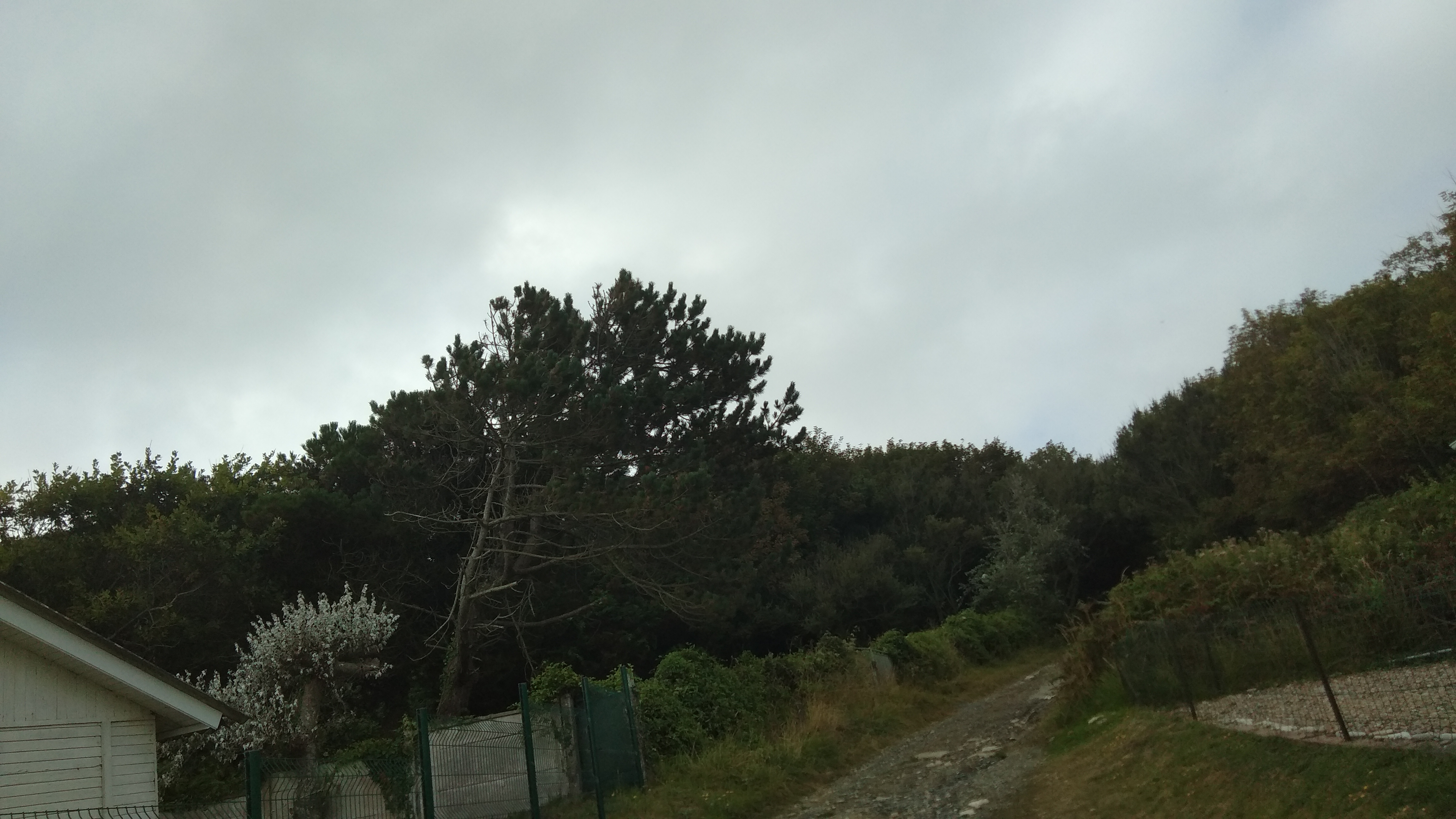 Photo n° 1 de l'avis de Gaëtan. fait le 18/08/2022 à 13:46