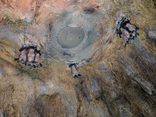 Park «Robert Moses State Park», reviews and photos, 32 Beach Marina Rd, Massena, NY 13662, USA