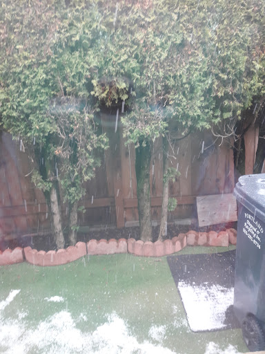 Park «Kern Park», reviews and photos, SE 67th Ave & Center St, Portland, OR 97206, USA