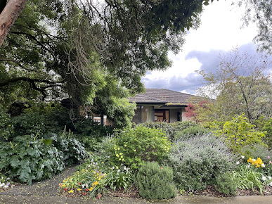 Mr John Crock - Mr John Crock