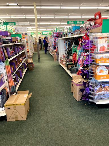 Dollar Store «Dollar Tree», reviews and photos, 2826 Audubon Village Dr, Audubon, PA 19403, USA