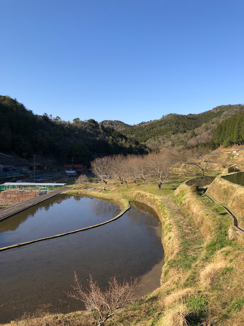 火打岩の芝桜