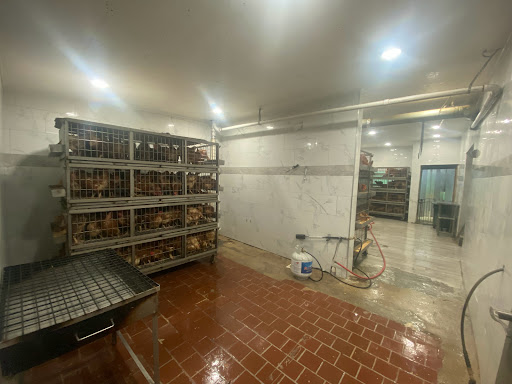 Grocery Store «Sandys Poultry Market», reviews and photos, 305 Madison Ave, Plainfield, NJ 07060, USA