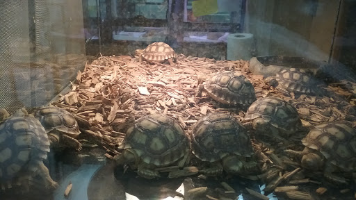 Pet Store «Inland Reef Pet Store», reviews and photos, 817 Cross Lanes Dr, Cross Lanes, WV 25313, USA