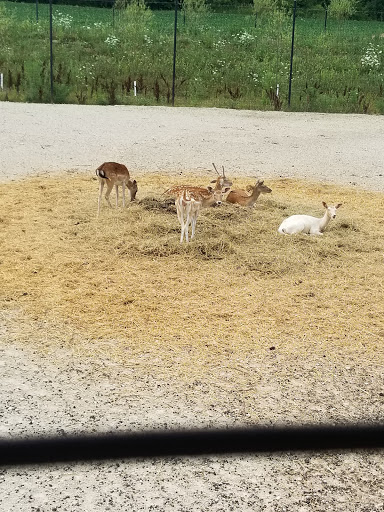 Water Park «Monsoon Lagoon Watering Hole Safari & Waterpark», reviews and photos, 1530 S Danbury Rd, Port Clinton, OH 43452, USA