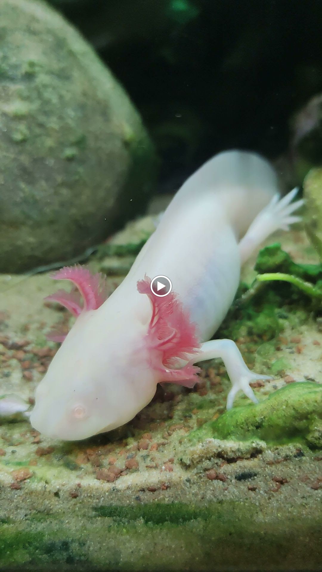 Photo n° 1 de l'avis de R. fait le 11/09/2022 à 13:52