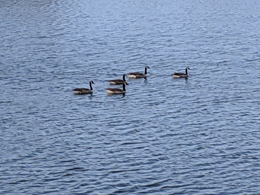 Lodge «The Lodge at Liberty Forge», reviews and photos, 3804 Lisburn Rd, Mechanicsburg, PA 17055, USA