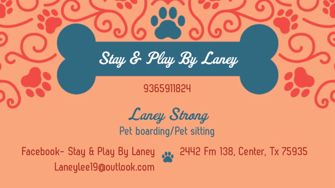 Stay & Play By Laney