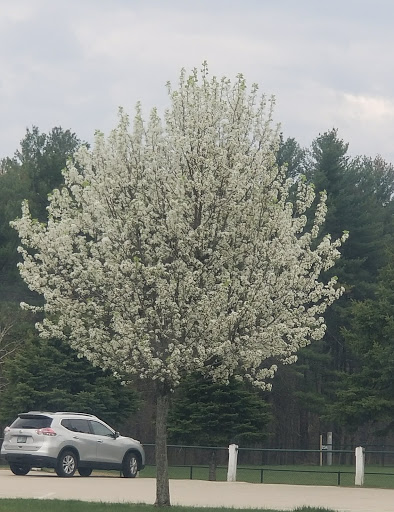 Park «Roby Park», reviews and photos, Spit Brook Rd, Nashua, NH 03062, USA