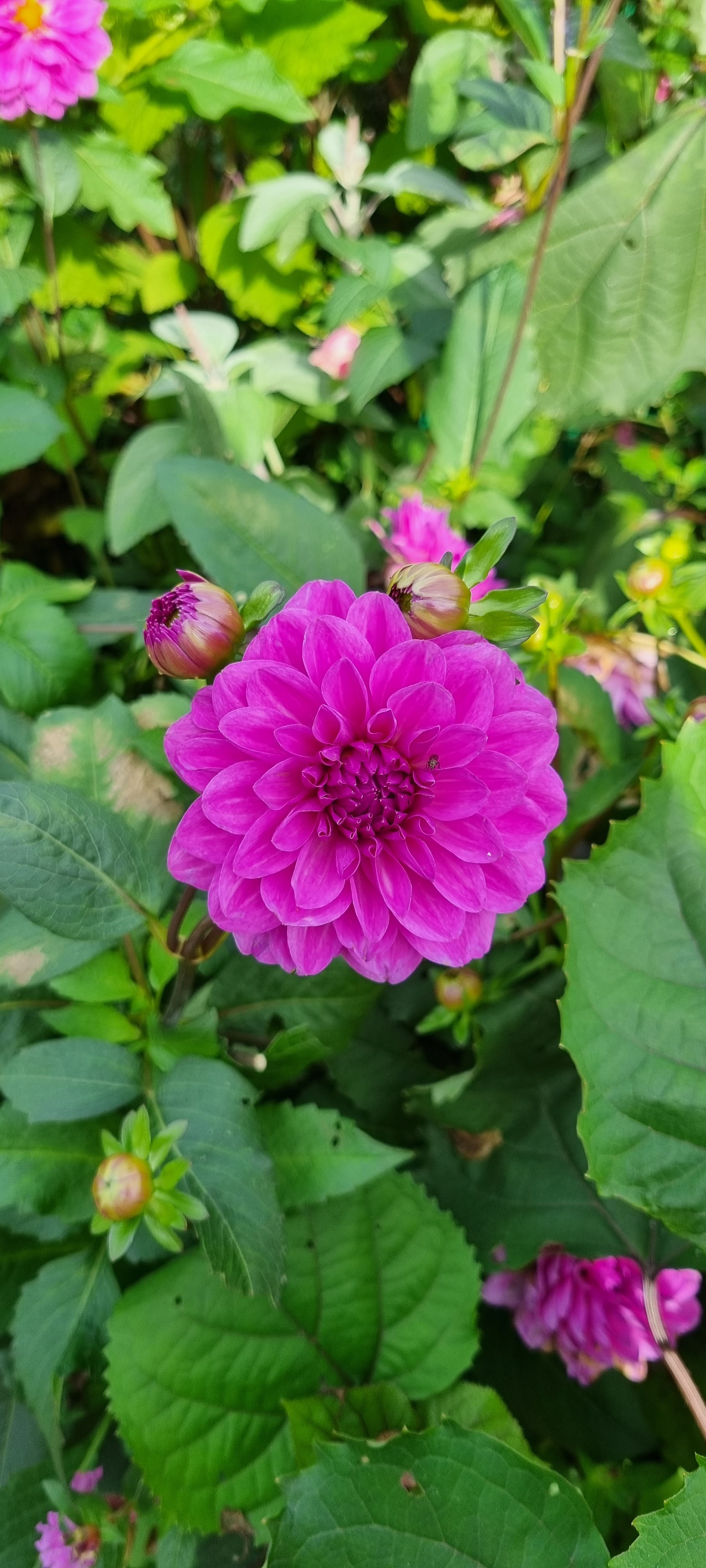 Photo n° 2 de l'avis de lemagicien40. fait le 03/11/2023 à 07:28