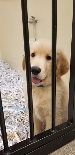 Pet Store «The Pet Shop», reviews and photos, 1988 MacArthur Rd, Whitehall, PA 18052, USA