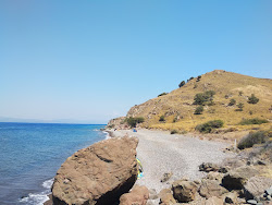 Paralia Efthalou'in fotoğrafı birden fazla uzun koy ile birlikte