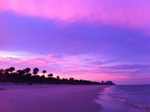 Anthony Polito-Massage Therapist 34145