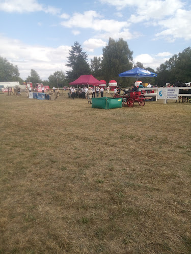 Comentarii opinii despre Stadion hippiczny (hipodrom)