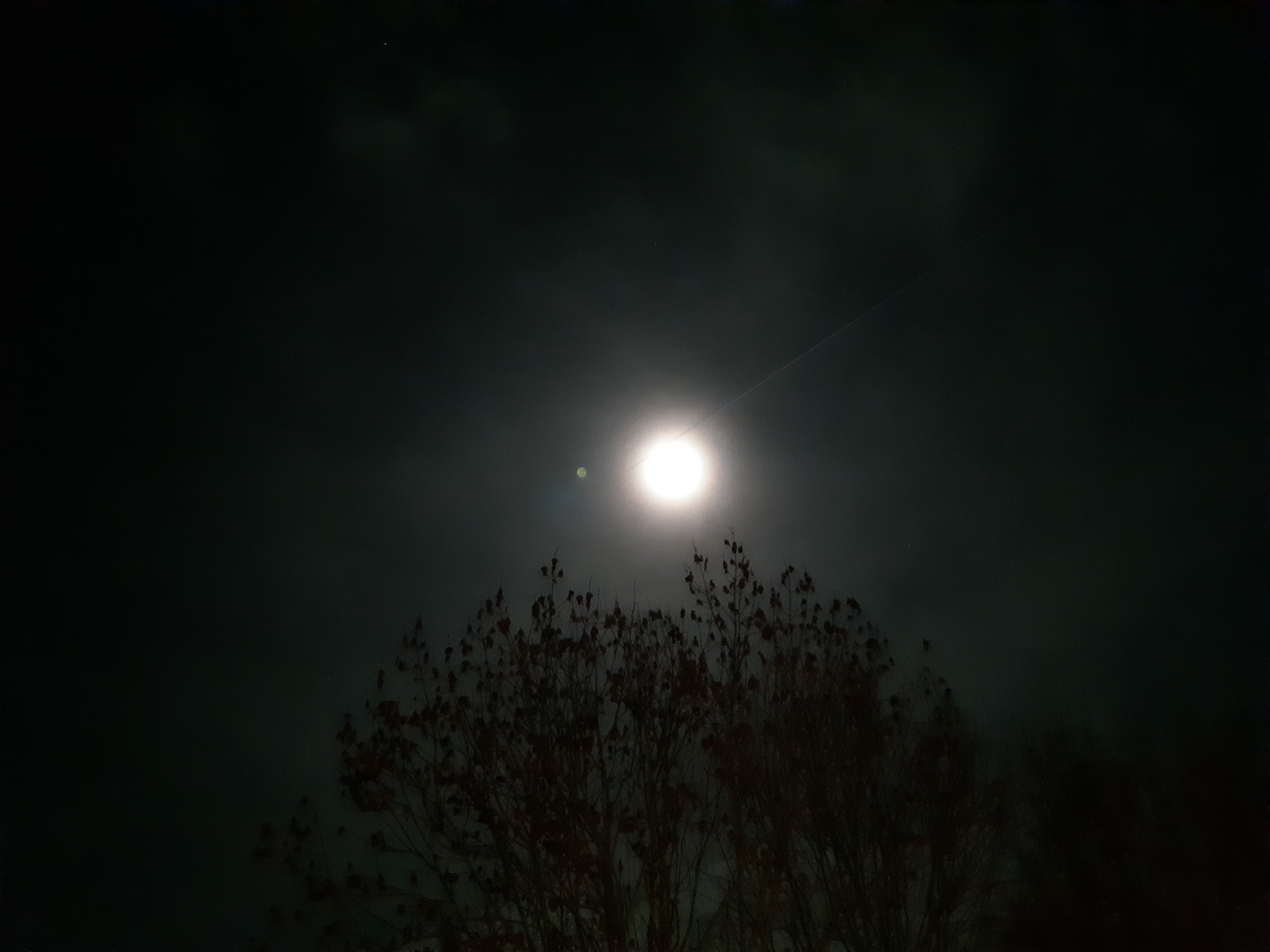 Photo n° 9 de l'avis de JÉJÉ. fait le 29/12/2018 à 13:48