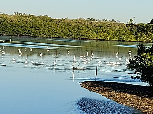 Nature Preserve «Perico Preserve», reviews and photos, 11700 Manatee Ave W, Bradenton, FL 34209, USA